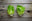 Lettuce: Little gem - twin pack