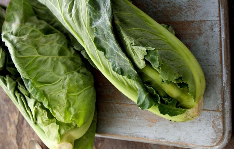 Cabbage: Spring Greens