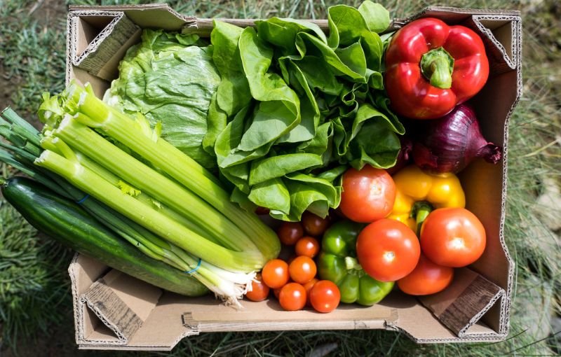 The Varied Little Veg Box Veg Box Fresh