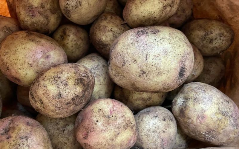 Potatoes: King Edward
