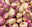 Turnips (each)