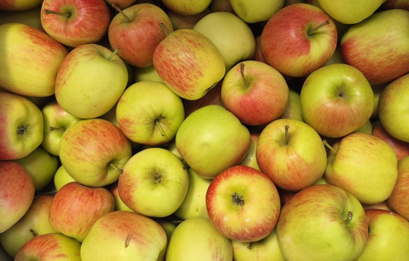Apples: Estivale  - 1kg