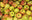 Apples: Estivale  - 1kg