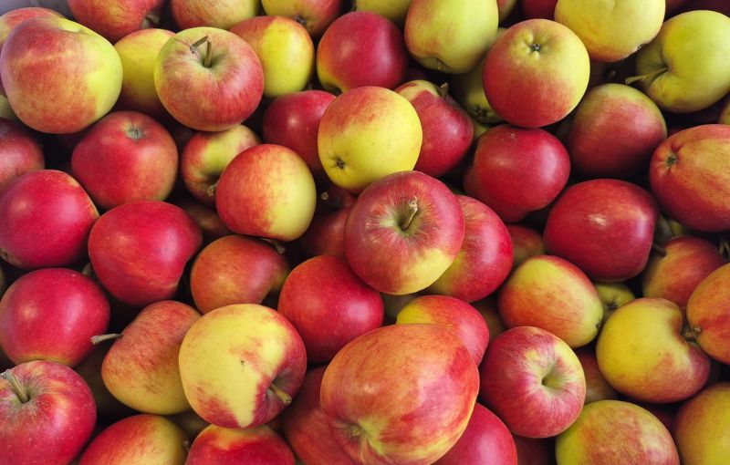 Apples: Katy