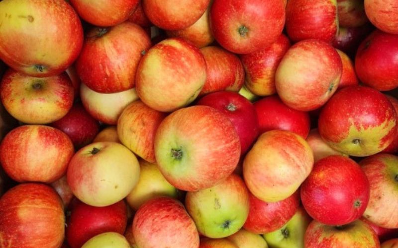 Apples: Discovery