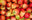Apples: Discovery