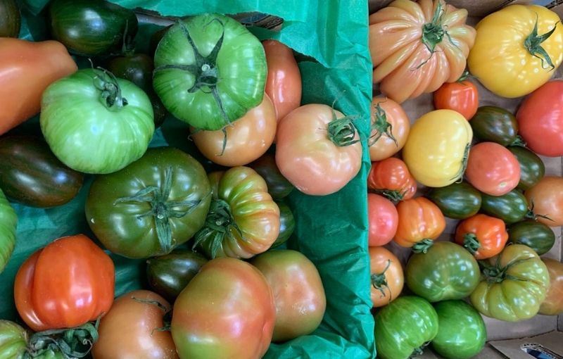 Tomatoes: New Season Heritage Tomatoes 1.5kg (subscription)