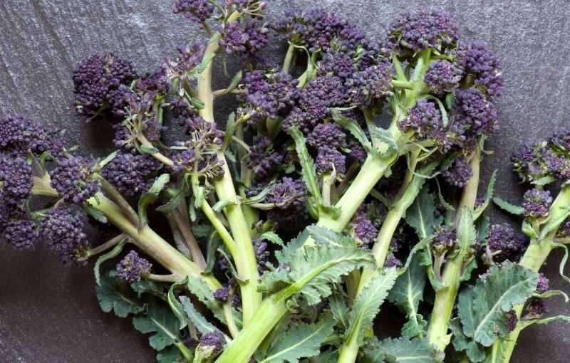 Purple Sprouting Broccoli (250g) (subscription)