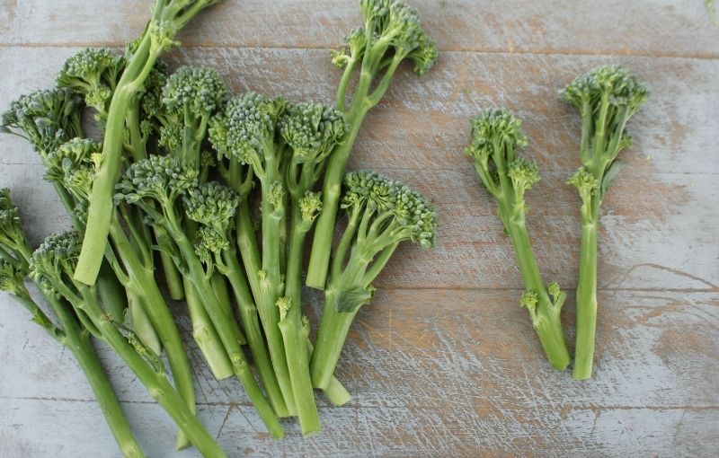 Tender Stem Broccoli (subscription)