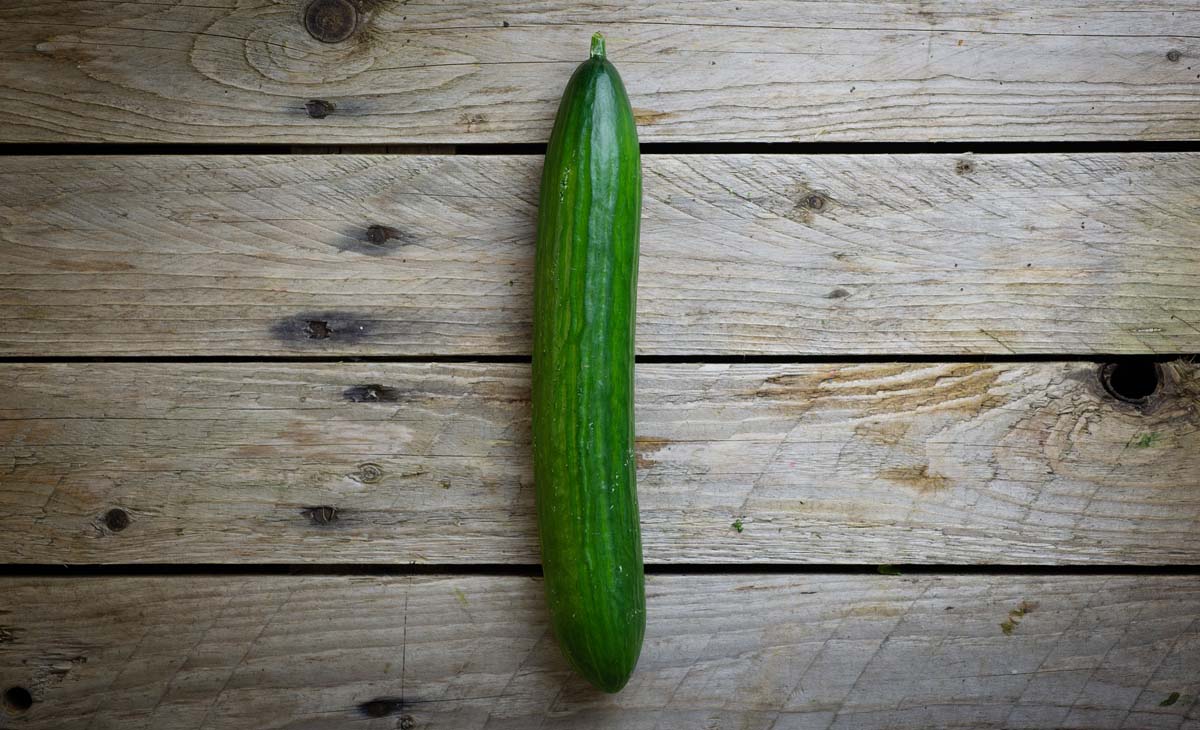 Cucumber