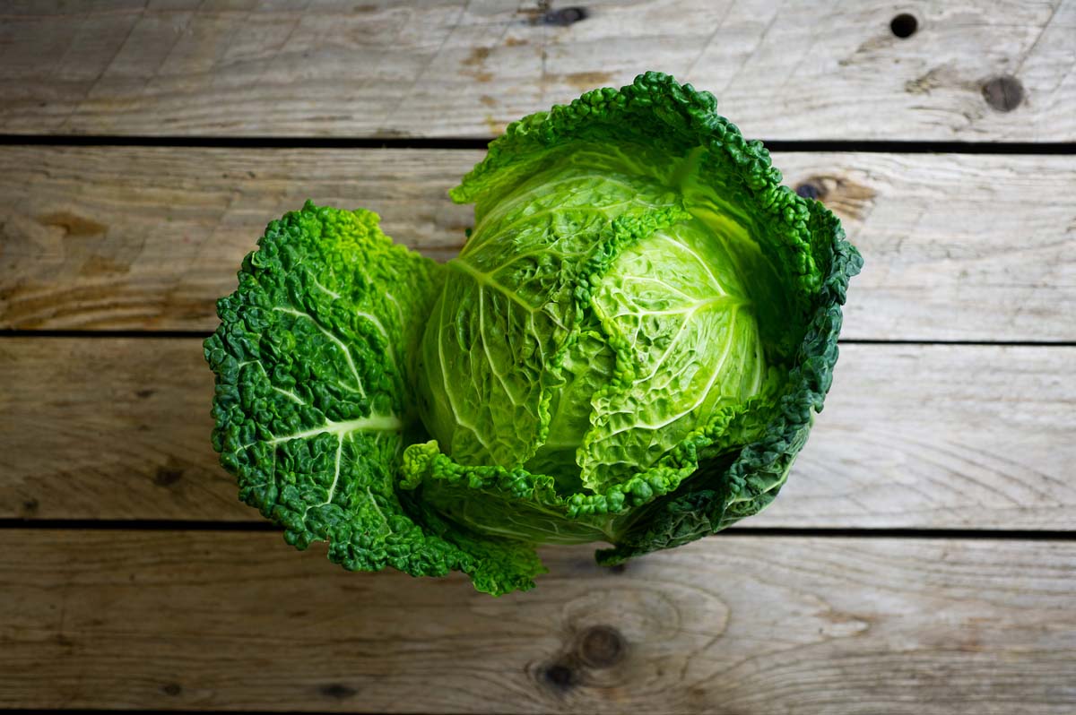 Savoy cabbage | Food delivery in Plymouth - Veg Box Fresh