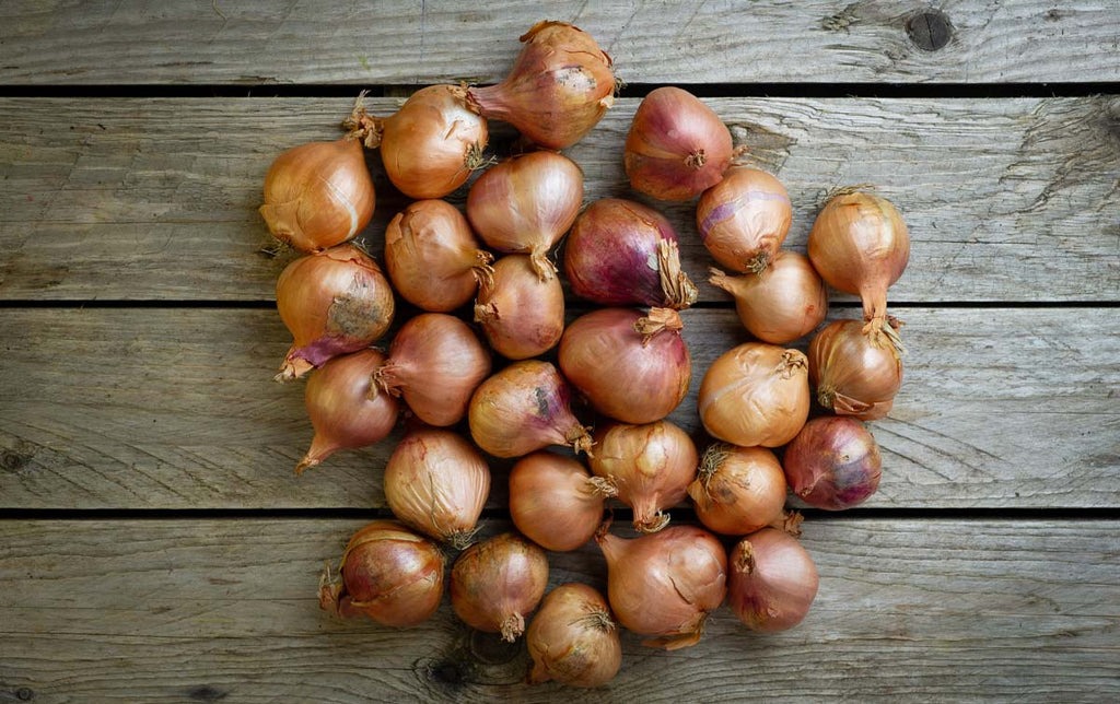 Onions: Pickling (per KG)