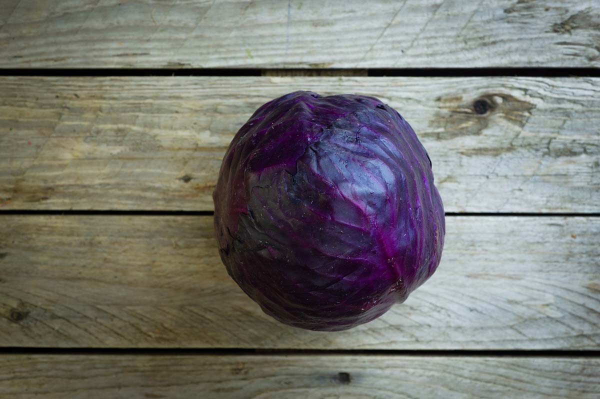 Cabbage: Red (subscription)