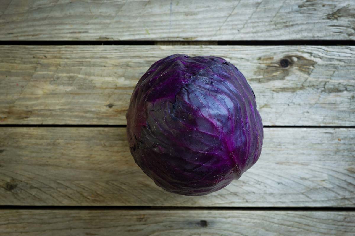 Red Cabbage - Veg Box Fresh | Fruit and veg delivery Plymouth