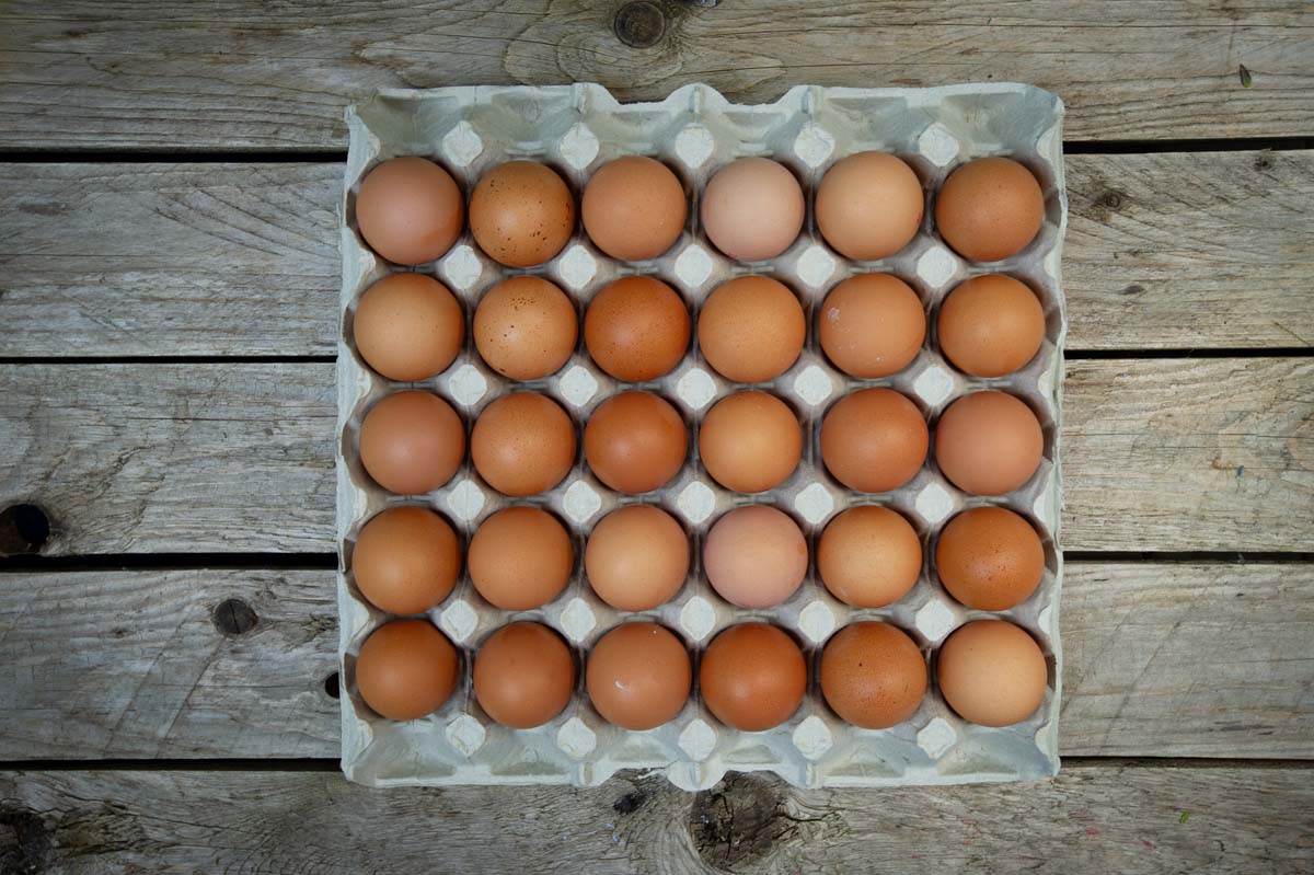 Eggs: 30x Free range x30
