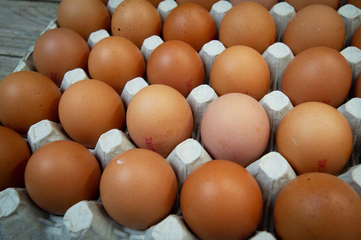 Eggs: 20x Very Large Free Range x20
