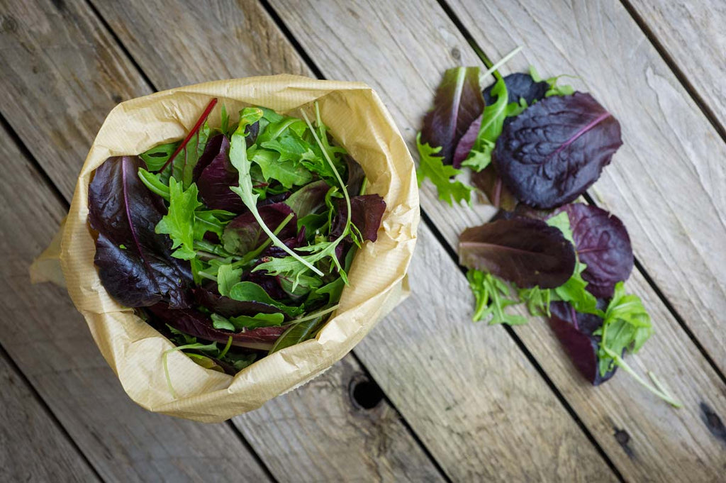 Lettuce: Mixed Salad Leaves (125g)