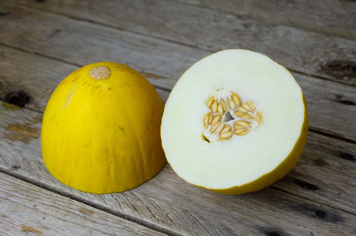 Honeydew melon (each)