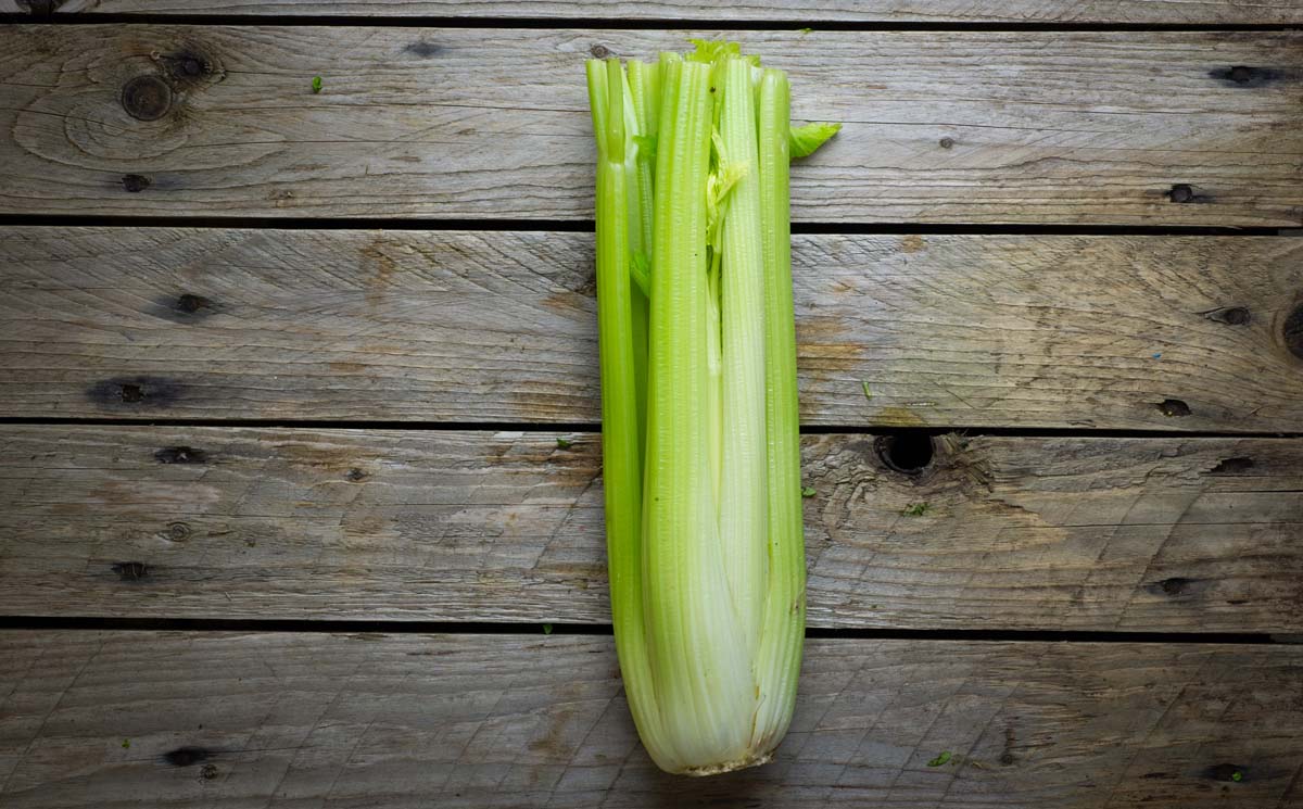 Celery (subscription)