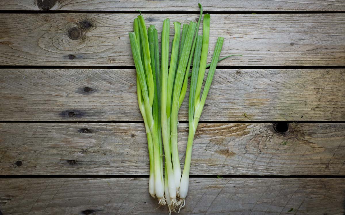 Spring Onions-Per bunch