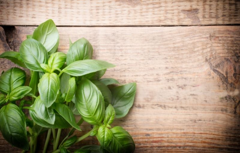 Herbs: Basil per bunch (100g)