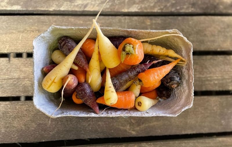 Mixed Chantenay Carrots (500g)