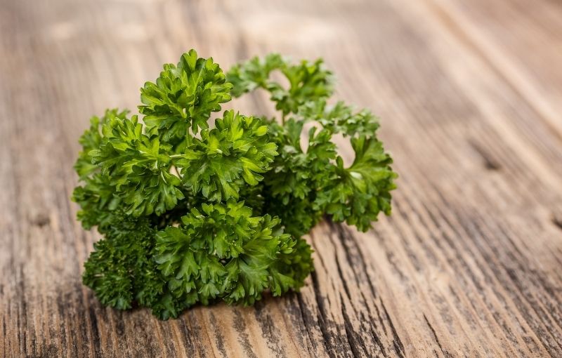 Herbs: Curly Leaf Parsley-per bunch (subscription)