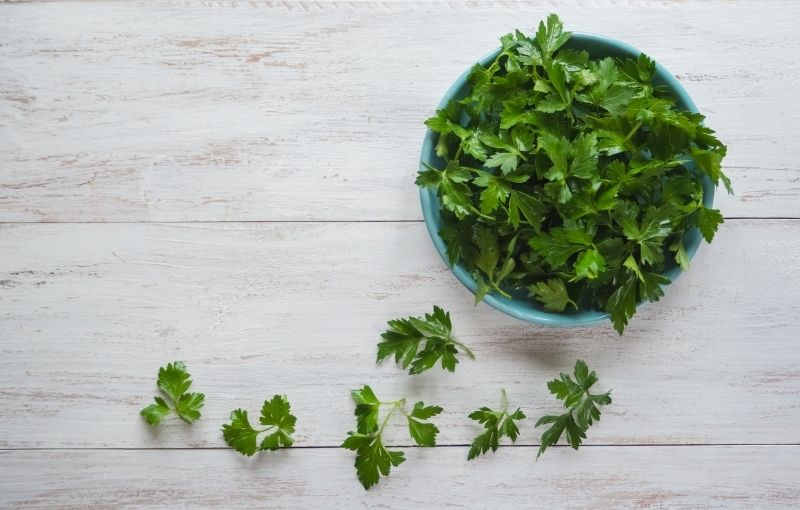 Herbs: Flat Leaf Parsley-per bunch