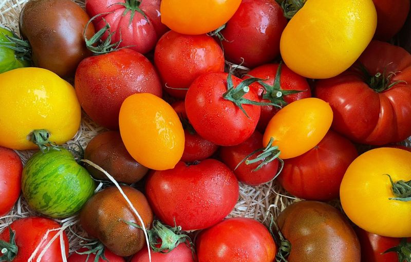 Tomatoes: New Season Heritage Tomatoes 1.5kg